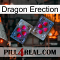 Dragon Erection 15